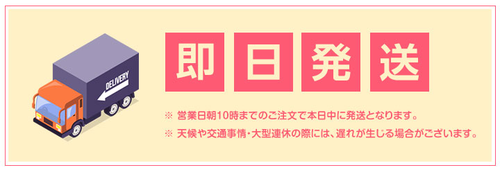 即日発送
