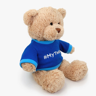 gund,Tシャツベア