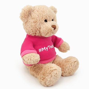gund,Tシャツベア